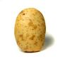 potato